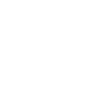 Emirates logo